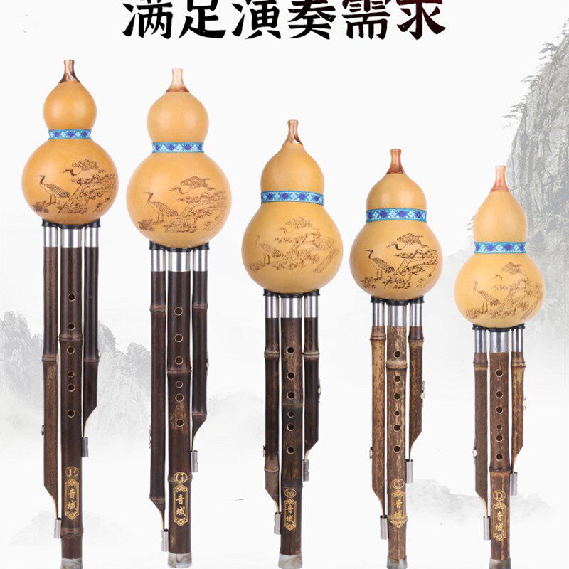紫竹葫芦丝乐器初学者c调降b调g调f调小d儿童小学生入门男女自学