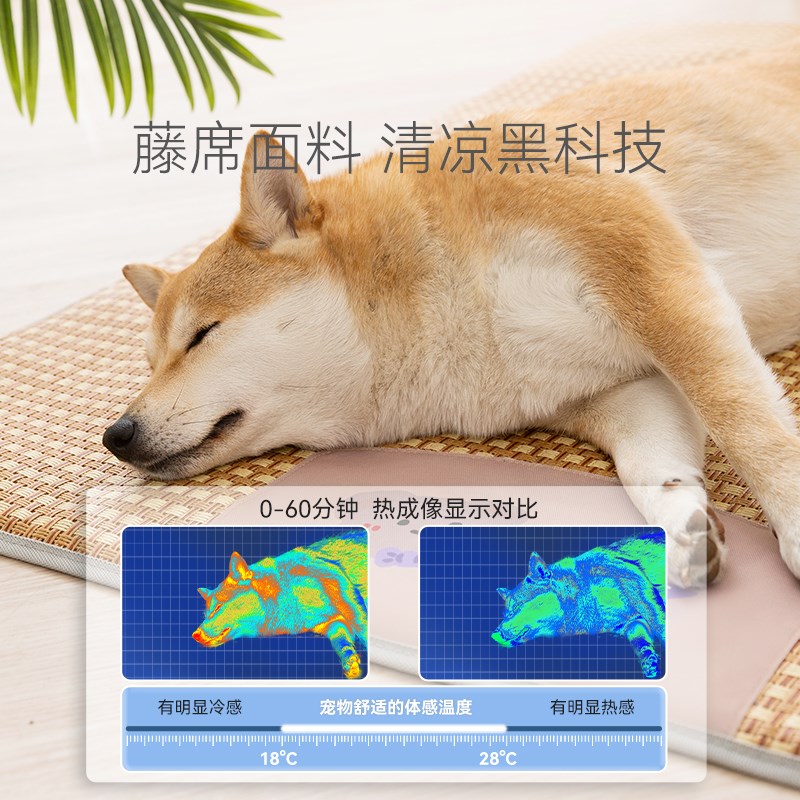 狗猫窝四季通用可拆洗2025新款冬加厚保暖睡窝床毛绒垫子宠物用品