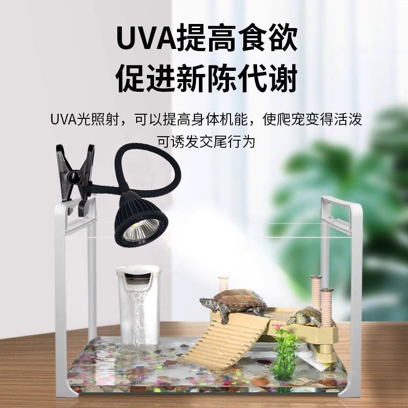 乌龟晒背灯USB充电式全光谱爬宠uvauvb灯乌龟灯补钙照明