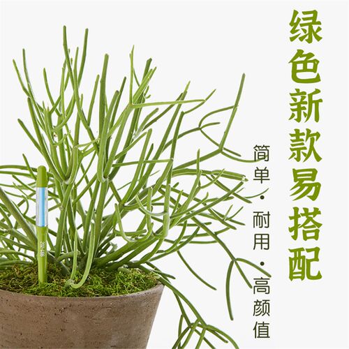 花信SUSTEE土壤水分计盆栽湿度测试 辨别干湿浇水神器园艺用品