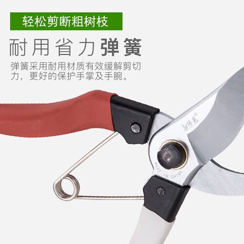 花剪园艺剪刀剪枝家用修剪树枝果树火龙果修枝剪花艺花枝粗枝剪刀