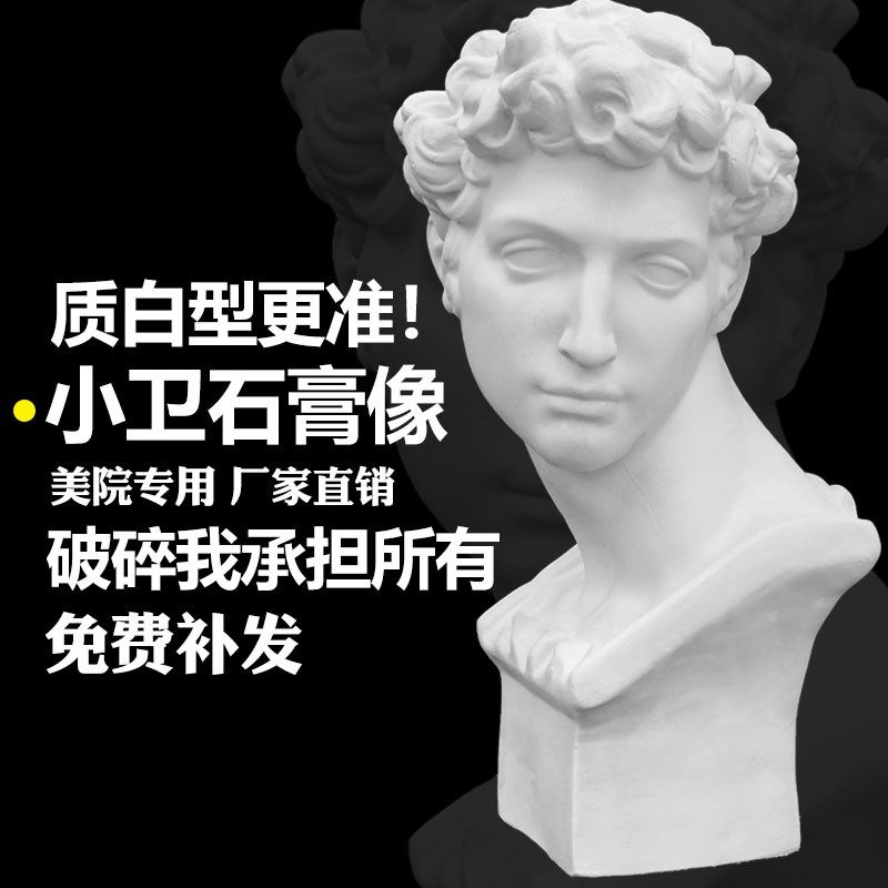 小卫石膏头像美术写生教具小卫石膏雕塑素描石膏头像摆件素描静物