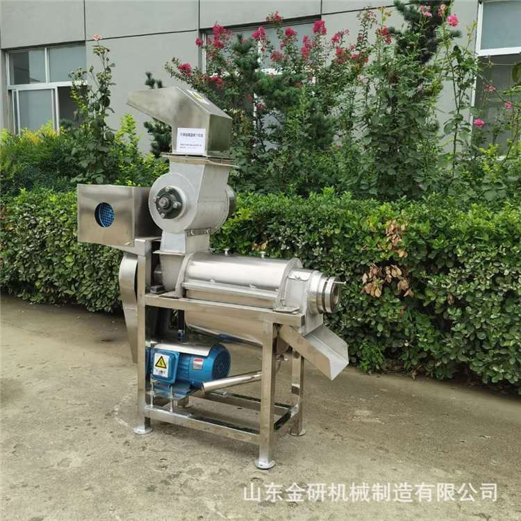 商用姜汁大型榨汁机 工业果蔬樱桃打浆机 果汁饮料脱汁机