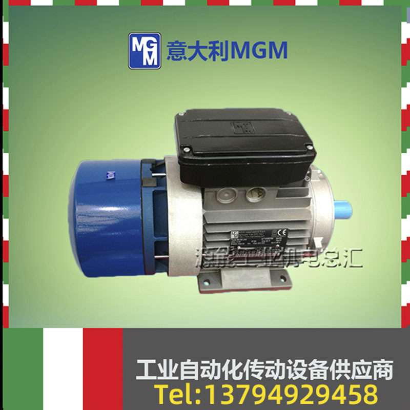 现货供应MGM三相异步刹车电机 风电专用400/690V偏航电机变桨电机