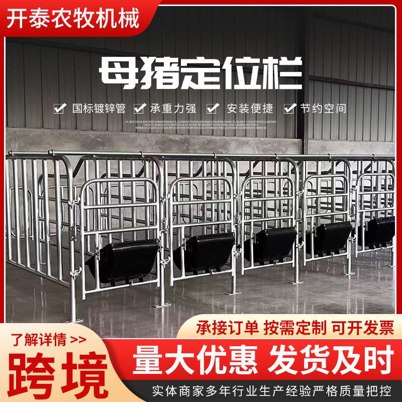 母猪定位栏限位栏落地式简易产床栏养猪设备猪圈围栏母猪限位栏