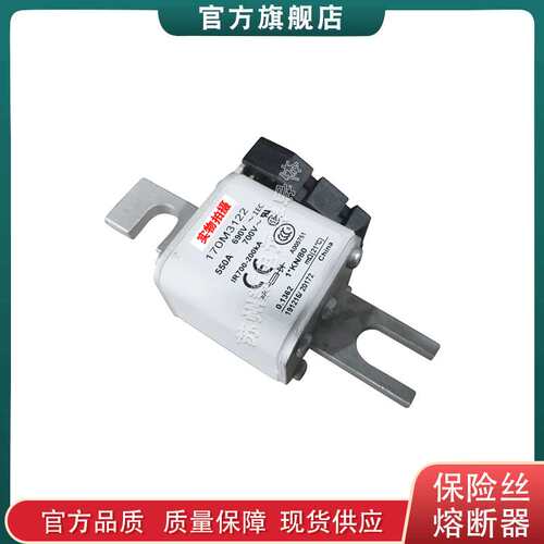 170M3188 3189 3190 3191 3192 巴斯曼bussmann快速熔断器保险丝