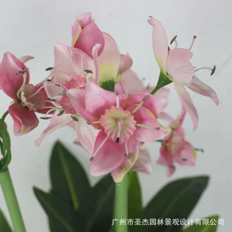 仿真水仙花盆栽 室内装饰仿真粉色水仙植物假花造景 阻燃仿真树