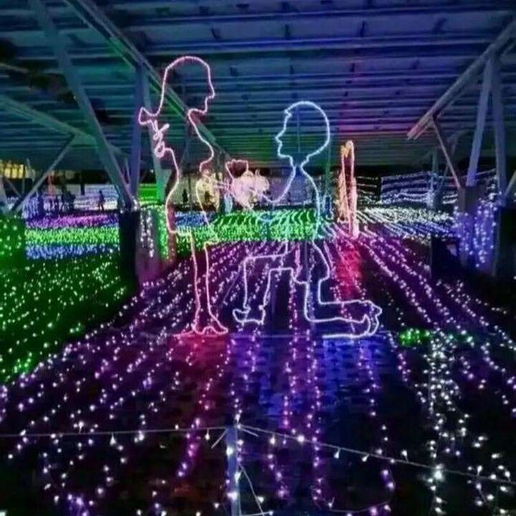led情侣造型灯灯光节男女求婚造型灯节日亮化婚庆造型爱情结晶灯