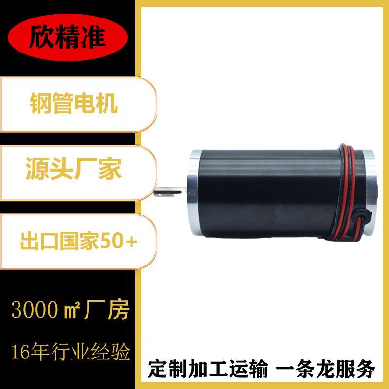 63钢管电机机器设备按摩器儿童车电机开门电机微型直流电机