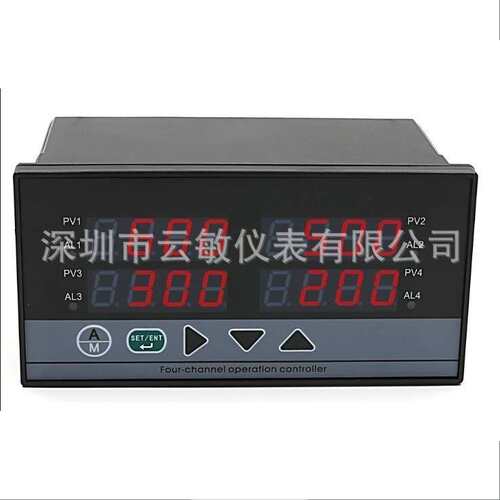 TDS58210CD/Pt100 多点温度巡检仪 多回路巡检仪