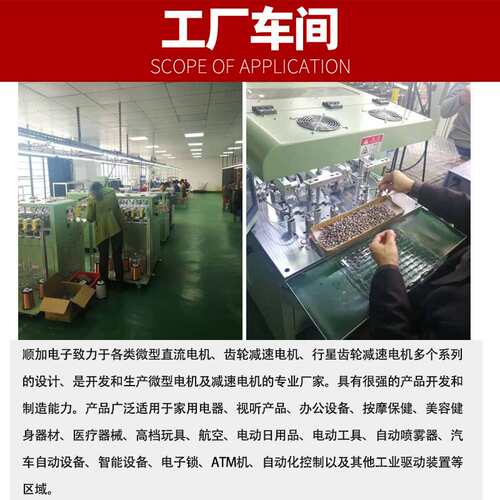 ZGB114FEE 12V 24V 输出軸偏心 直流减速电机马达