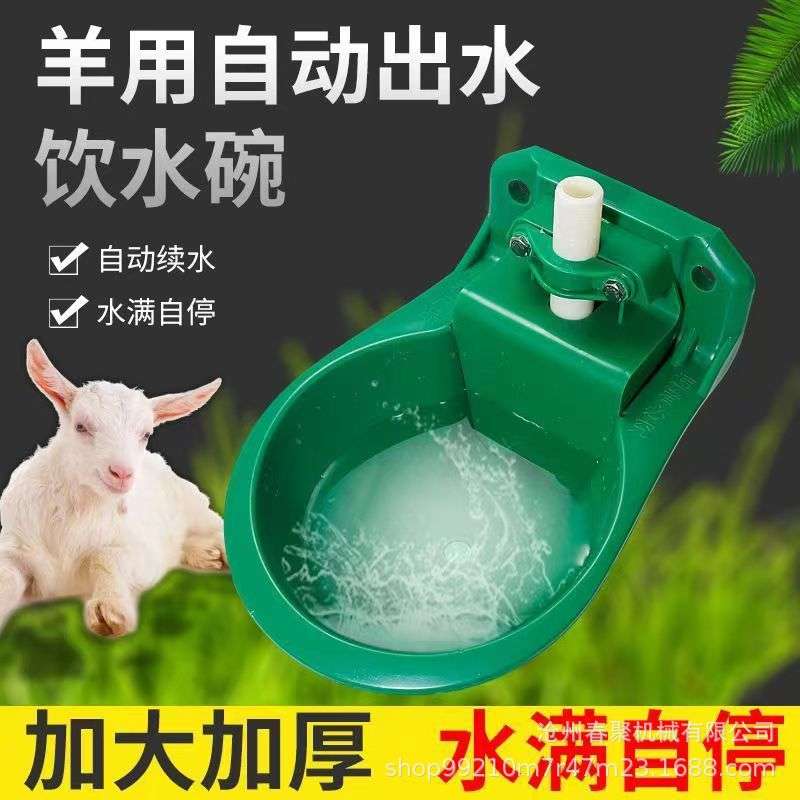 羊饮水器羊喝水碗养殖设备羊用饮水碗养羊场用品自动饮水全自动