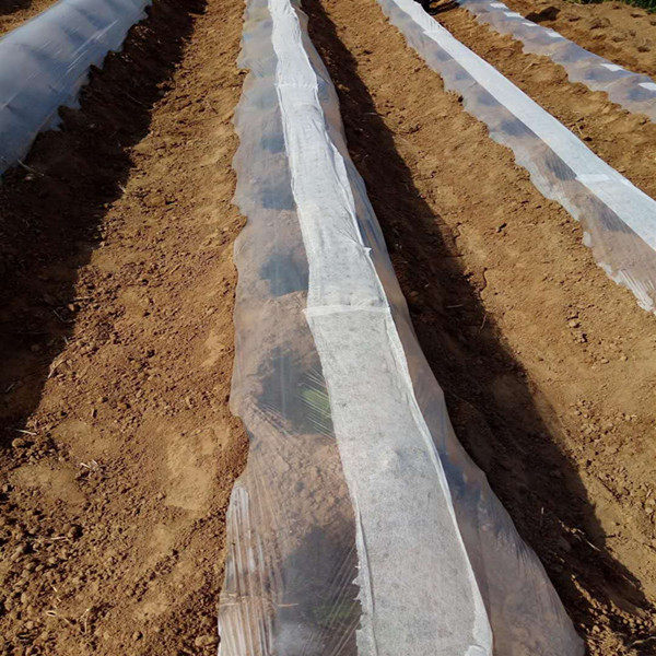 水稻育秧无纺布白色抗老化农用育苗草坪绿化覆盖保温透明透气薄膜