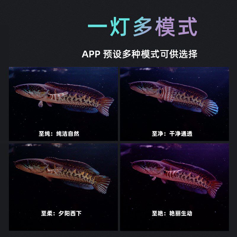 魔点XC XA鱼缸灯防水显色LED灯潜水灯照明专用水草灯红龙观赏灯