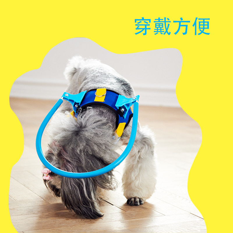 可调节狗狗防撞保护环适用于失明与白内障宠物头部眼睛保护