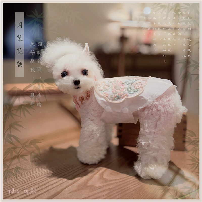 《月苋花朝》新中式无袖旗袍比熊国风衣服小狗猫咪背心唐装春夏秋