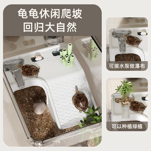 乌龟饲养缸小型爬宠角蛙饲养盒养乌龟专用缸生态家用桌面超白鱼缸