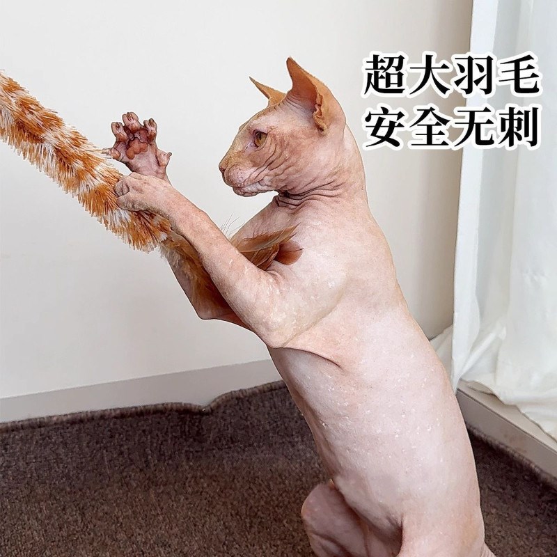 逗猫棒带铃铛鸡毛掸子逗猫玩具毛绒逗猫杆麻生耐咬成幼猫宠物用品图片
