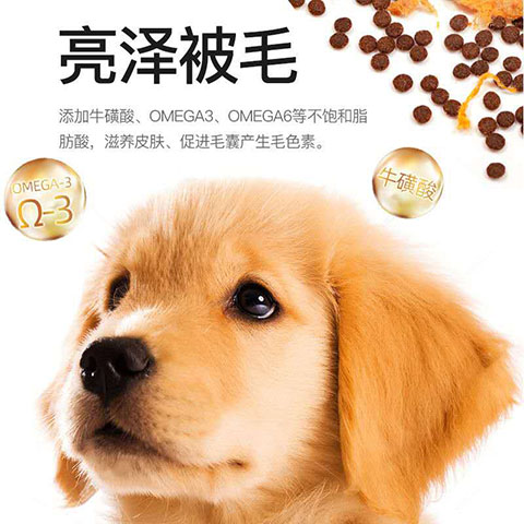 笑宠泰迪专用狗粮 全犬期通用美毛去泪痕冻干粮 小型犬适用买一送图片