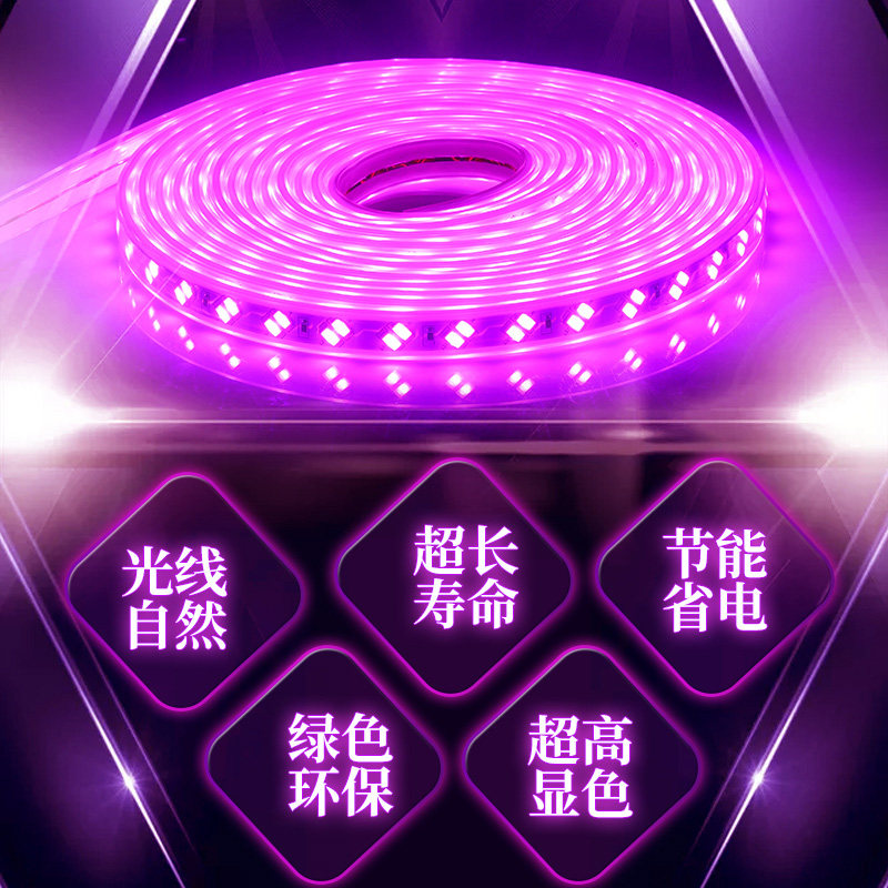 led灯带紫光粉色紫色家用220v装饰浪漫创意KTV超亮户外防水灯带条