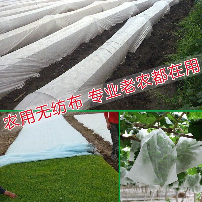 昌泰1000米白色PP无纺布布料整卷透气农用防水育秧苗圃黑色不织布