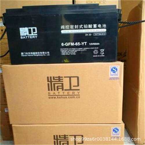 科华精卫蓄电池6-GFM-12V24 38 65 100 120 150 200AH-YT机房储能