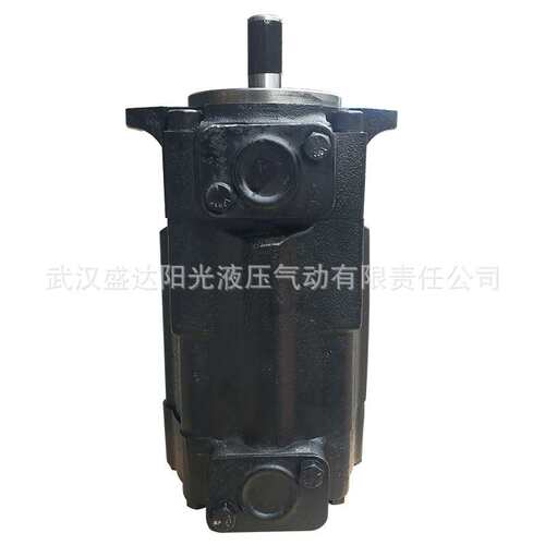 双联叶片泵 T6CC-025-005-1R00 电动液压油泵 性价比高