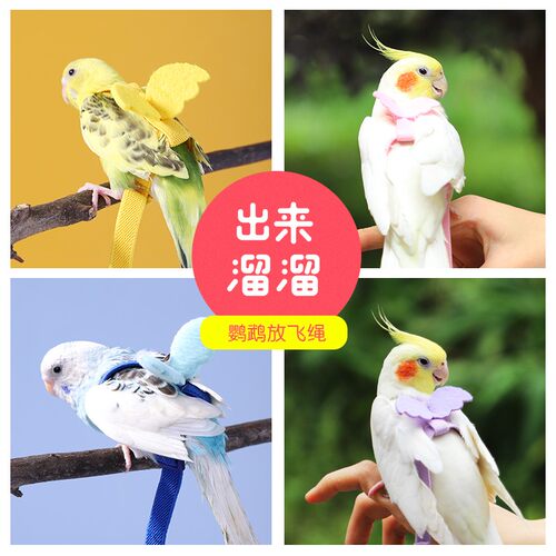 鹦鹉放飞绳玄凤虎皮鸟外出遛鸟牵引绳飞行绳超轻背带式不伤脚神器