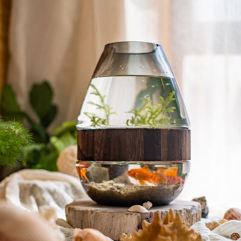 玻璃花瓶透明水养鲜花水培插花桌面装饰摆件花瓶鱼缸一体两用造景
