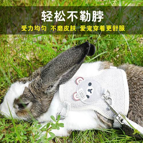 兔子牵引绳兔子背心式防挣脱溜兔绳子宠物兔专用可调节外出绳用品