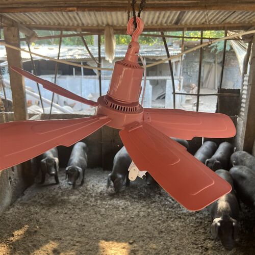 养猪场专用吊扇猪舍通风降温散热电风扇养殖场五叶工厂大风挂扇