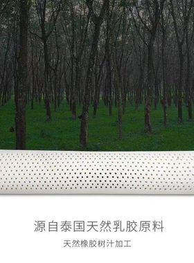 泰国天然乳胶圆柱超大长条抱枕头超长夹腿枕芯男女生沙发客厅靠垫