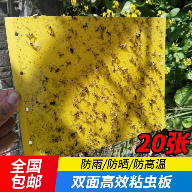 大棚粘虫板双面诱虫板纸贴黄板特粘黄色果园专用家用防虫贴小飞虫