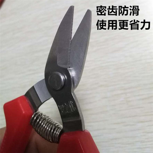 不锈钢葡萄剪尖头稀果剪花园整理剪果树剪刀摘花椒采果剪盆景修枝