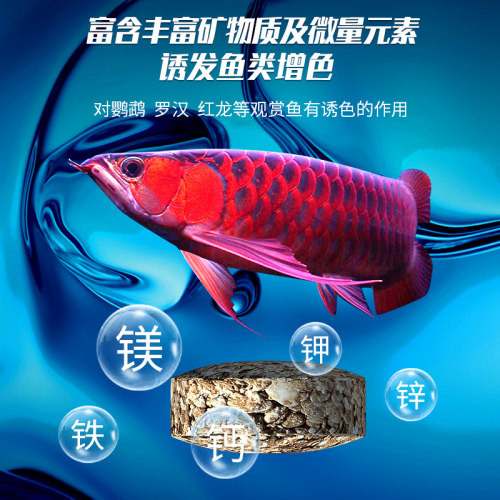 壹诺四代橄榄球滤材鱼缸用过滤材料水族细菌屋培菌净水原矿球一诺