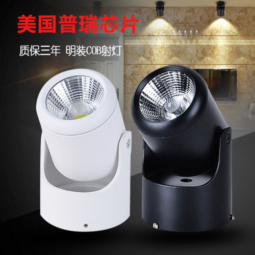 LED明装射灯固定式背景墙天花灯可调照射角度吸顶式黑白色灯