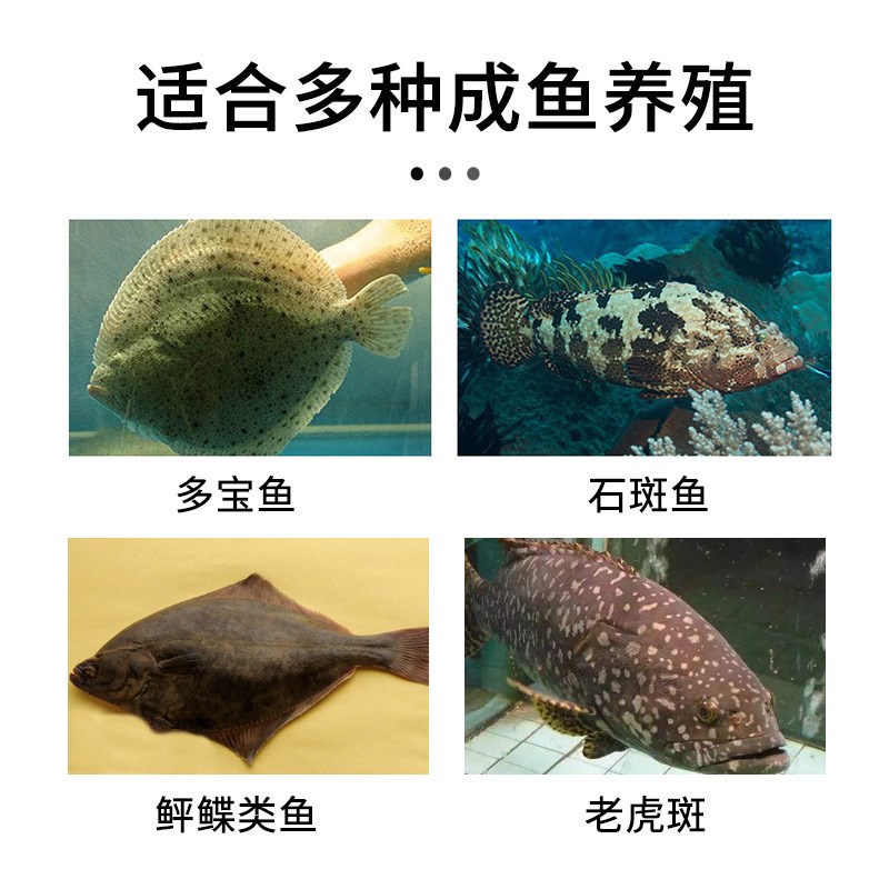 海童浩食EP饲料海水鱼专用鱼食缓沉型石斑鱼鲆鲽类鱼料沉降型鱼粮