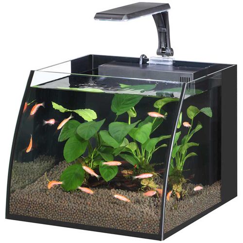 生态鱼缸客厅小型家用桌面免换水族箱迷你乌龟水陆缸金鱼草缸造景