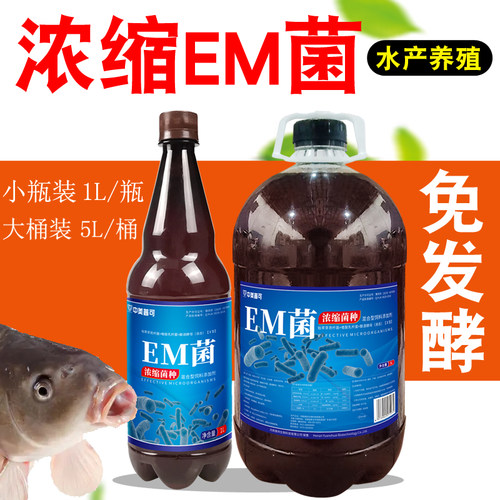 浓缩em菌原液水产养殖鱼虾蟹塘专用菌种益生菌调水肥水培藻肥水膏