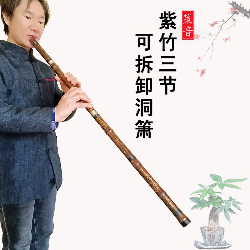 八孔洞箫国风乐器入门古风紫竹仿古初学演奏型古典三节单节素白铜
