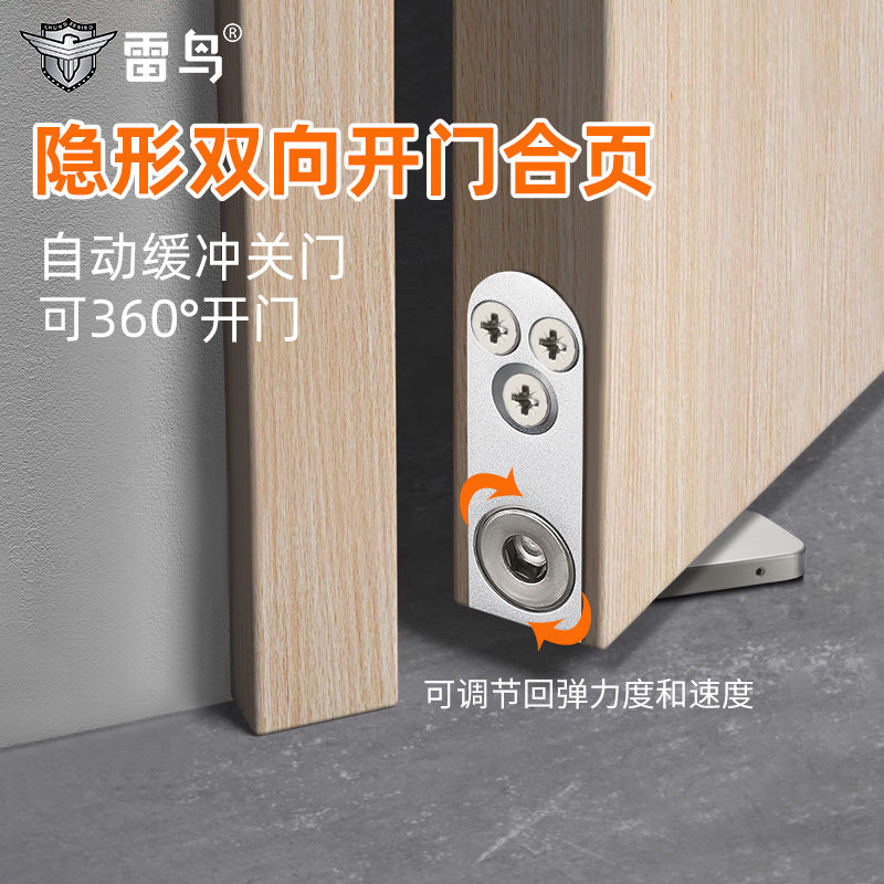 雷鸟隐形门天地轴合页双向开门自动缓冲闭门隐藏式地弹簧铰链合页 - 实物图