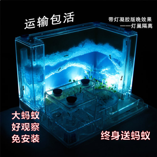 免安装蚂蚁工坊生态城堡宫殿家园别墅宠物蚁后饲养大蚁巢学生观察