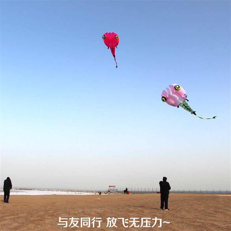 青州马老四风筝 高档伞布参赛级蝌蚪 好飞易飞特大软体立体大风筝