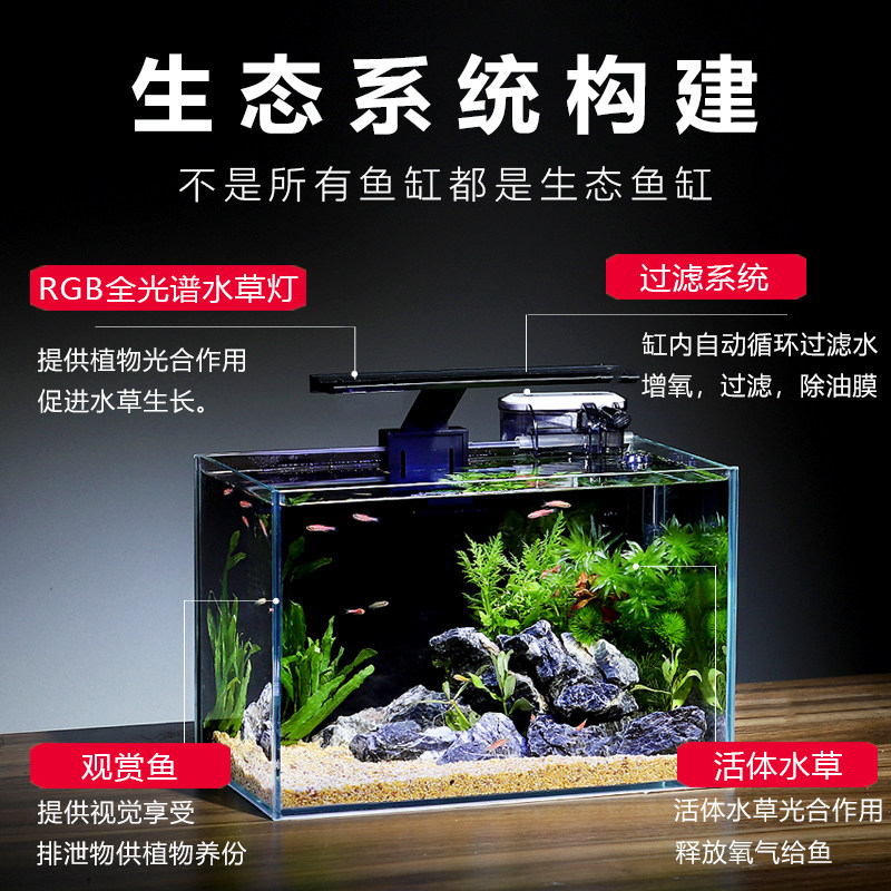 小型生态鱼缸 桌上免换水鱼缸 客厅用雨林造景鱼缸