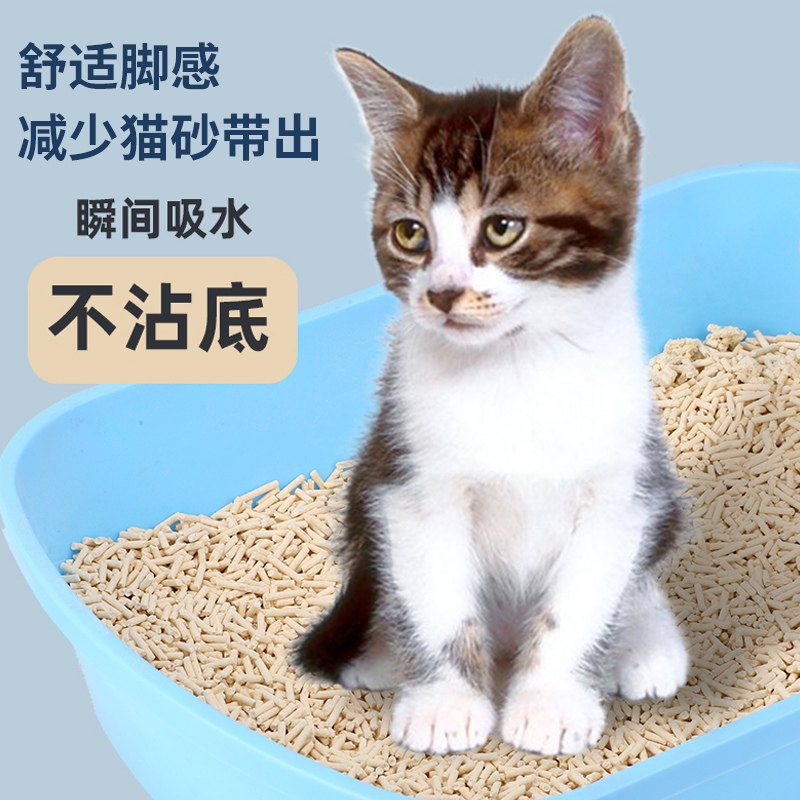 豆腐猫砂6包*6L申汇猫沙10公斤20斤除臭无尘猫沙包邮猫咪用品
