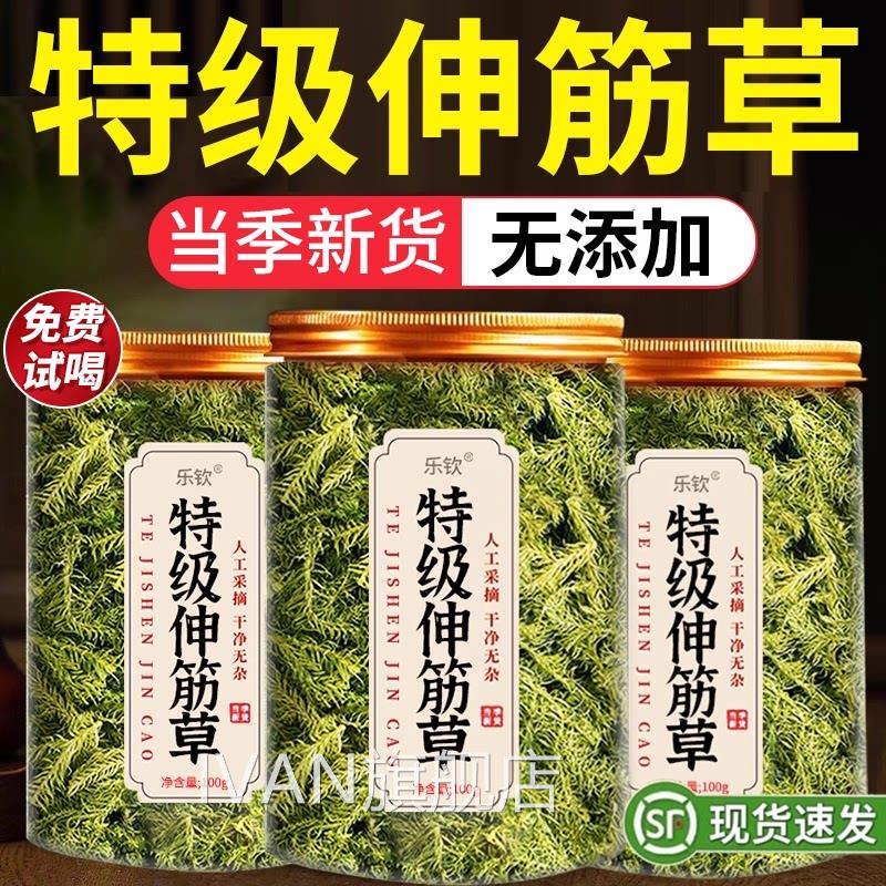 特级伸筋草中药材500正克正品旗舰店野生小伸筋草中药透骨草品zzI