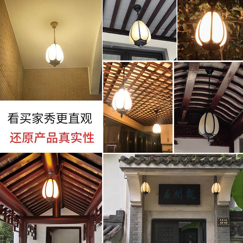 吊灯中式户外防水走廊过道led花园别墅可调节吊链室外凉亭庭院灯