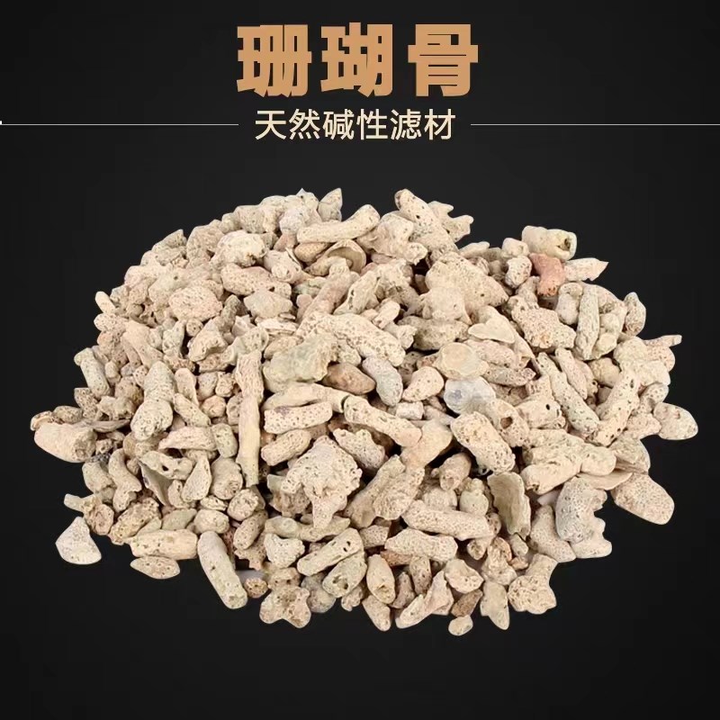 天然珊瑚骨滤材珊瑚石鱼缸过滤材料净化水质造景培菌稳定Ph值图片