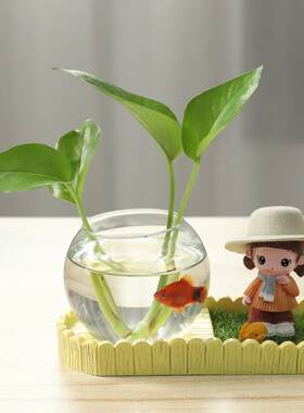 创意水养植物绿萝水培花瓶玻璃透明花盆器皿插花瓶子容器桌面摆件