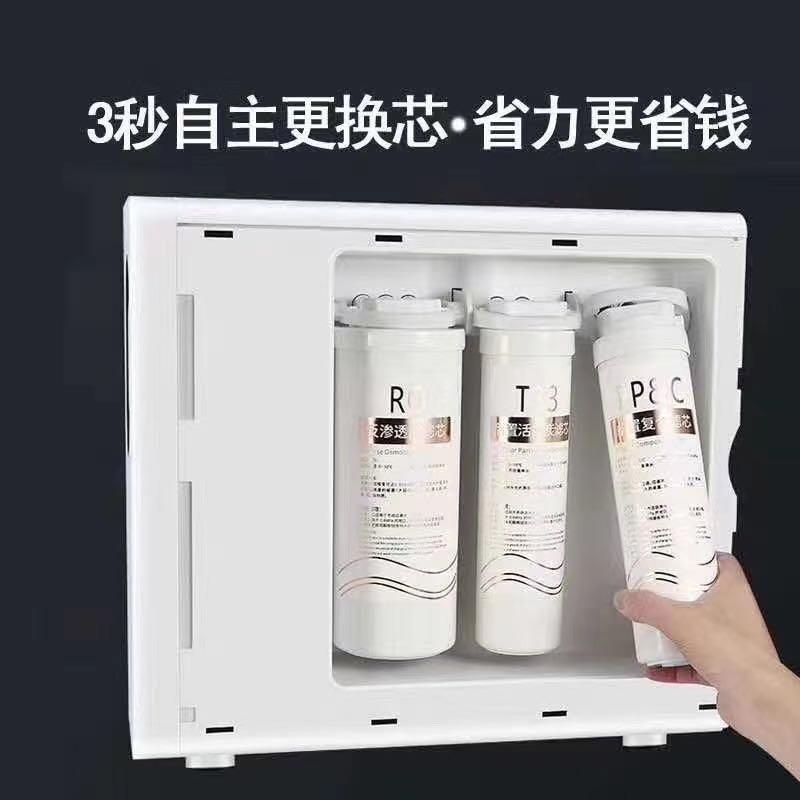 朗泰净水器家用直饮净水机自来水过滤器RO反渗透纯水机朗泰巨能10